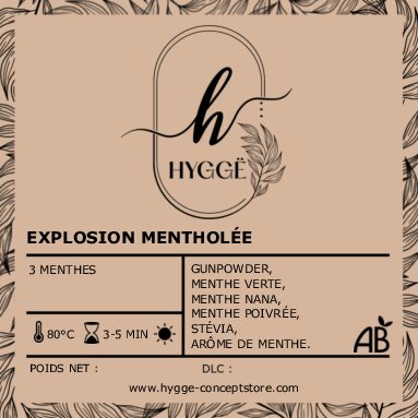 Photo du thé Explosion Mentholée BIO – Thé vert Gunpowder aux notes de menthe poivrée et verte, infusion ultra-rafraîchissante.
