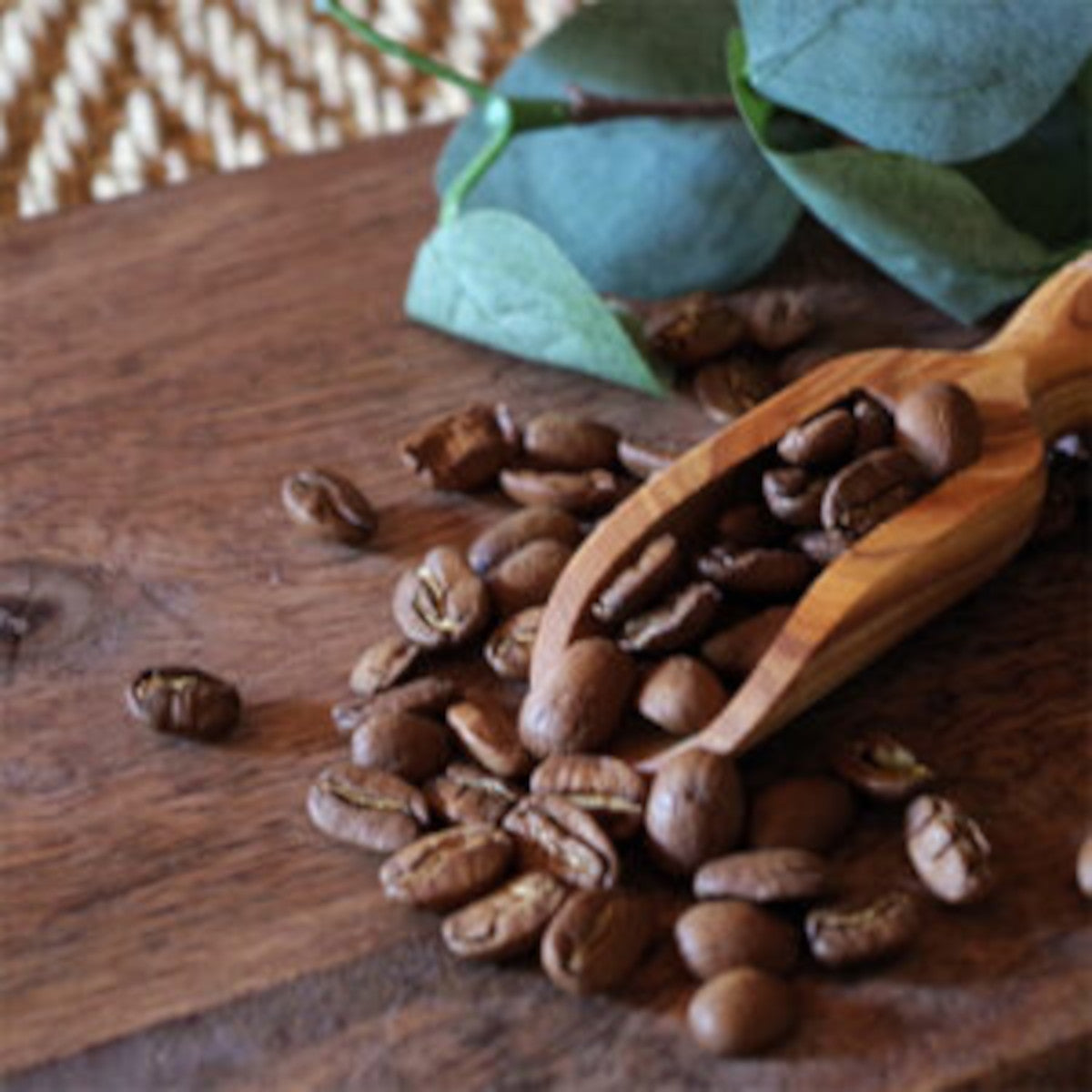 hygge-concept-store-cuillère-bois-olivier