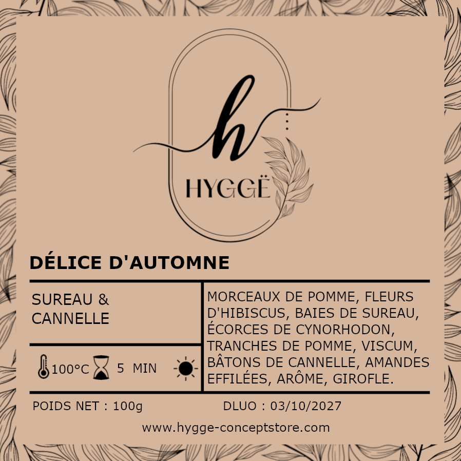nfusion pomme cannelle, tisane automne, Hygge Concept Store