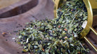 hygge concept store reveils difficiles thé vert détox